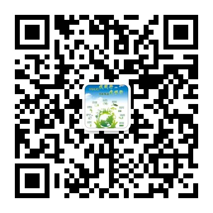 20190716080943643